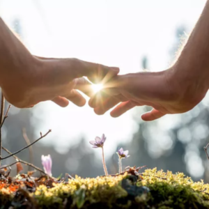 healing hands